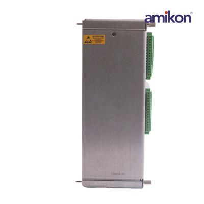 Bently Nevada 133819-01 RTD/TC Temp I/O Module