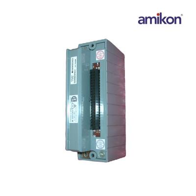 Модуль аналогового ввода-вывода Yokogawa ATR8S-00 S2