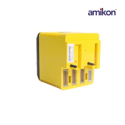 Логический вычислитель EMERSON KJ2201X1-BA1 12P3162X202 SLS1508 DeltaV