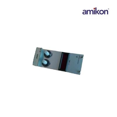 VIBRO METER UVV696 Vibration Processor