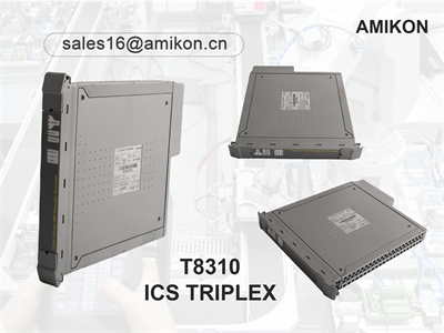 Процессор расширения ICS TRIPLEX T8310